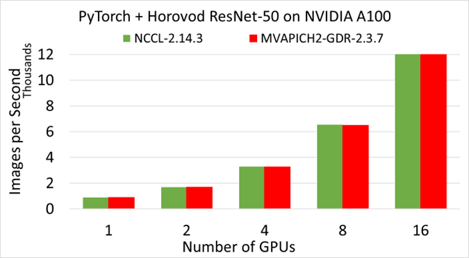 NVIDIA PT horovod